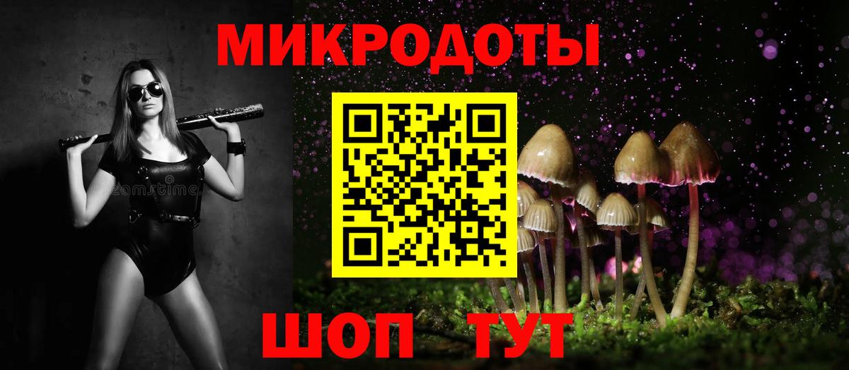 Северобайкальск  Псилоцибиновые грибы Psilocybe  Вход с VPN 